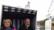 Ostseetörn mit Bernd