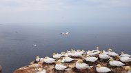 Helgoland Törn