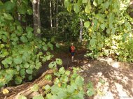 Sommertörn 2017